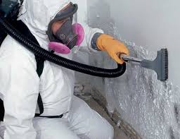 Best Mold Remediation for Healthcare Facilities  in Liolnton, NC